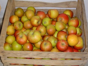 Äpfel